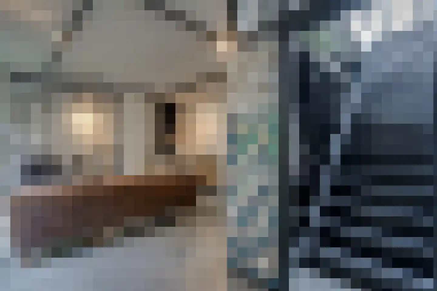 Zuiderweg 3 Tolbert thumbnail 59