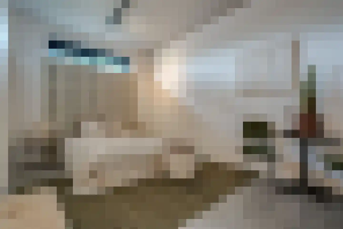 Zuiderweg 3 Tolbert thumbnail 60