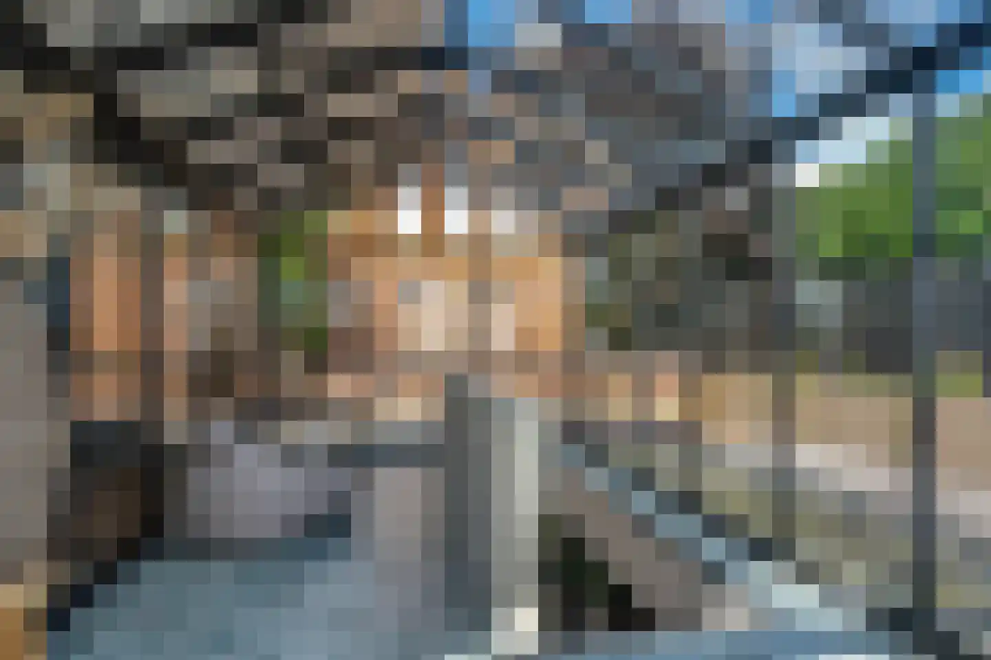 Zuiderweg 3 Tolbert thumbnail 62