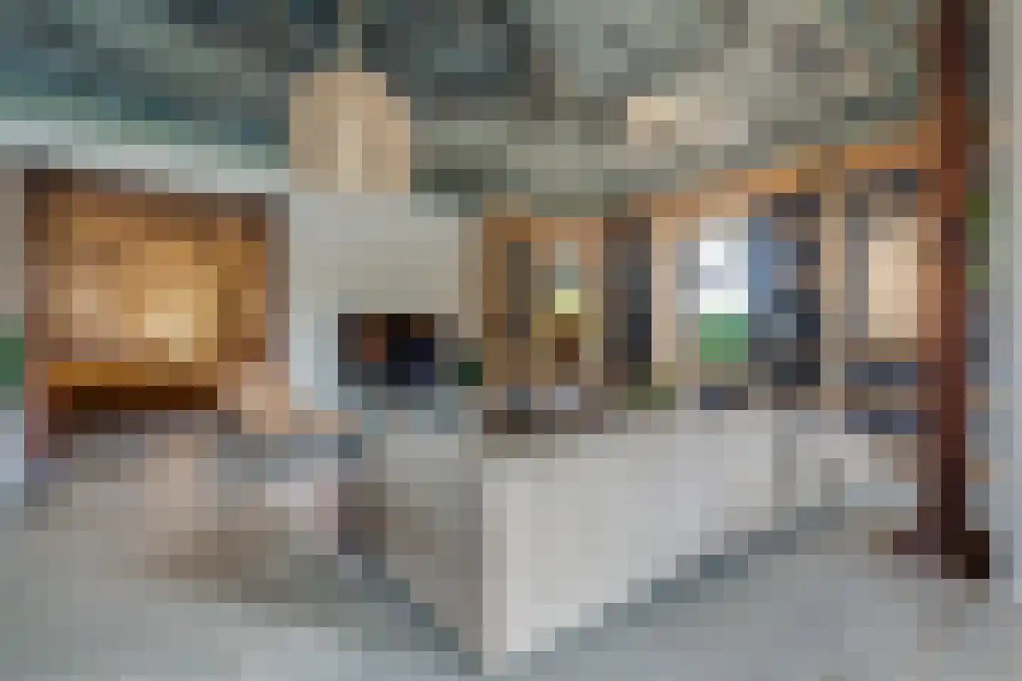 Zuiderweg 3 Tolbert thumbnail 69