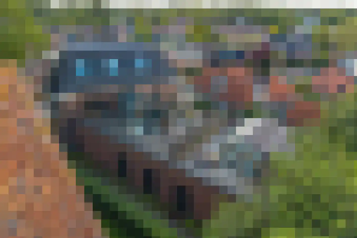 Zuiderweg 3 Tolbert thumbnail 7