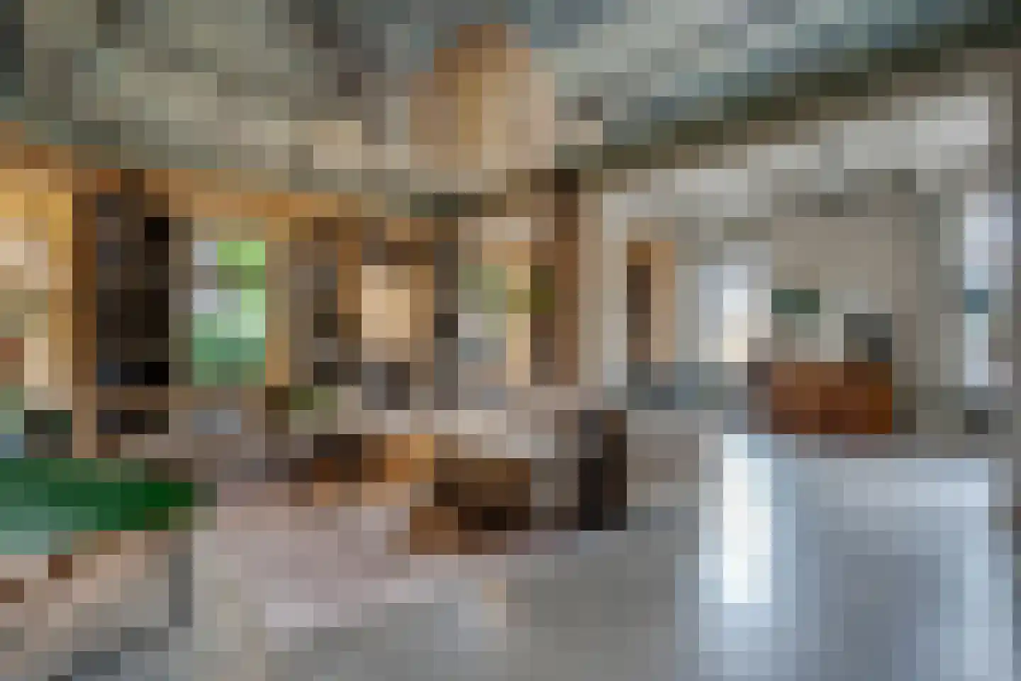 Zuiderweg 3 Tolbert thumbnail 73