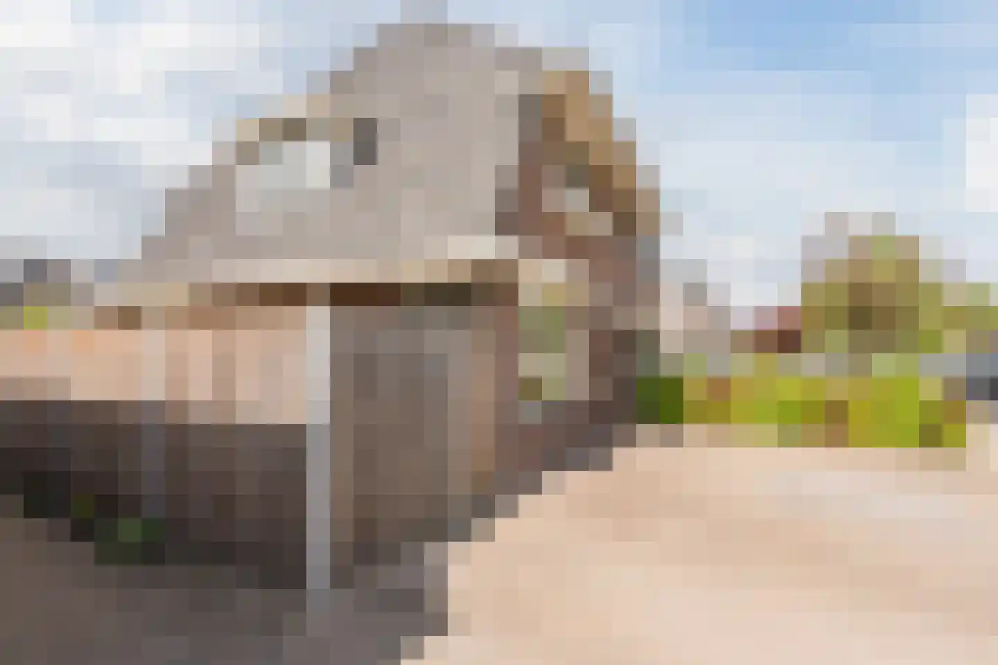 Zuiderweg 30 Hoogeveen thumbnail 4