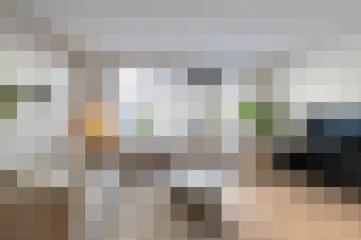 Zuiderweg 311 Groningen thumbnail 16