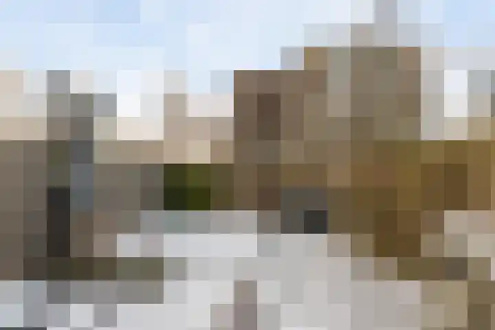 Zuiderweg 311 Groningen thumbnail 28