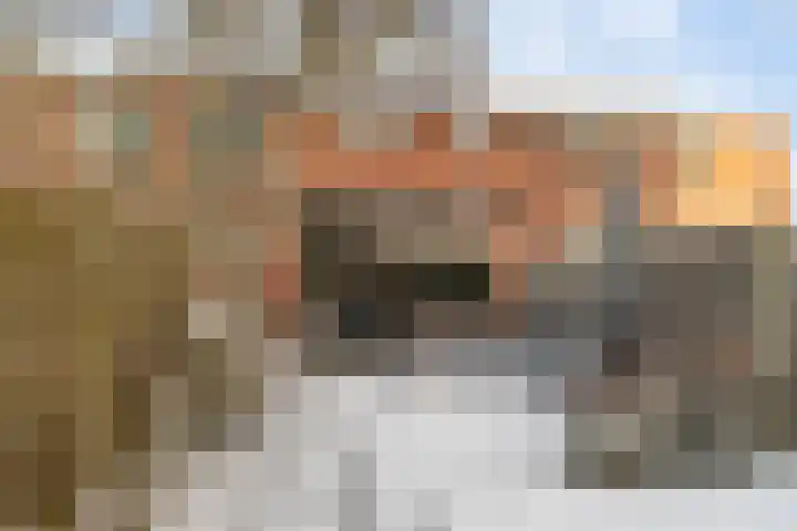 Zuiderweg 311 Groningen thumbnail 30