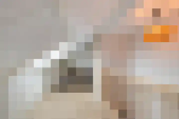 Zuiderweg 311 Groningen thumbnail 49