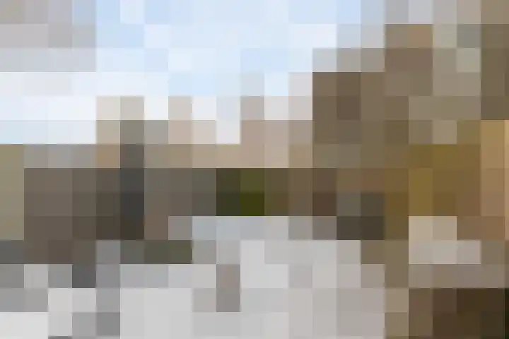 Zuiderweg 311 Groningen thumbnail 5