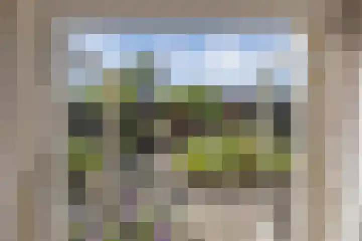 Zuiderweg 33 Noordwolde thumbnail 18