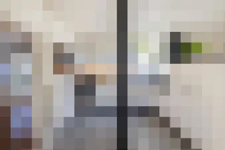 Zuiderweg 33 Noordwolde thumbnail 21
