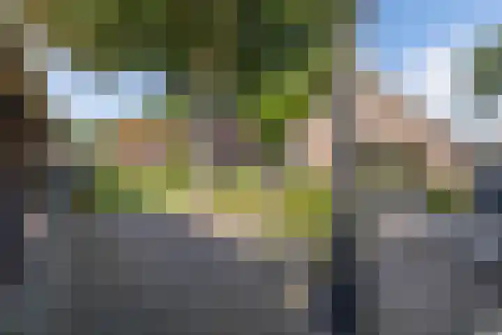 Zuiderweg 33 Noordwolde thumbnail 36