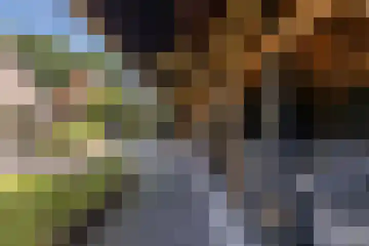 Zuiderweg 33 Noordwolde thumbnail 39