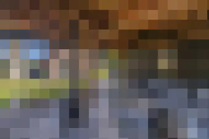Zuiderweg 33 Noordwolde thumbnail 40