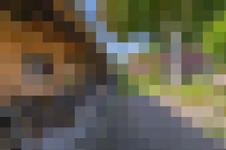 Zuiderweg 33 Noordwolde thumbnail 41