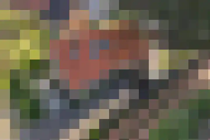 Zuiderweg 33 Noordwolde thumbnail 42
