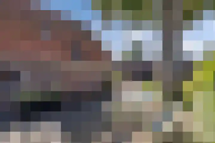 Zuiderweg 33 Noordwolde thumbnail 44