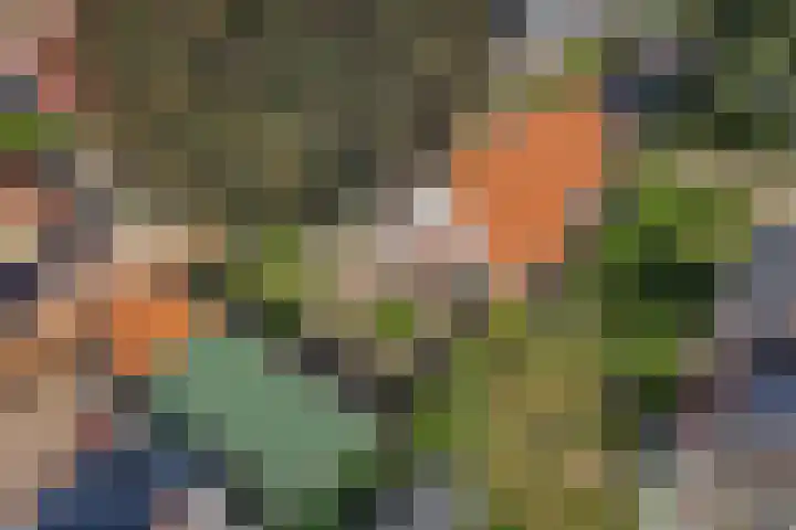 Zuiderweg 33 Noordwolde thumbnail 45