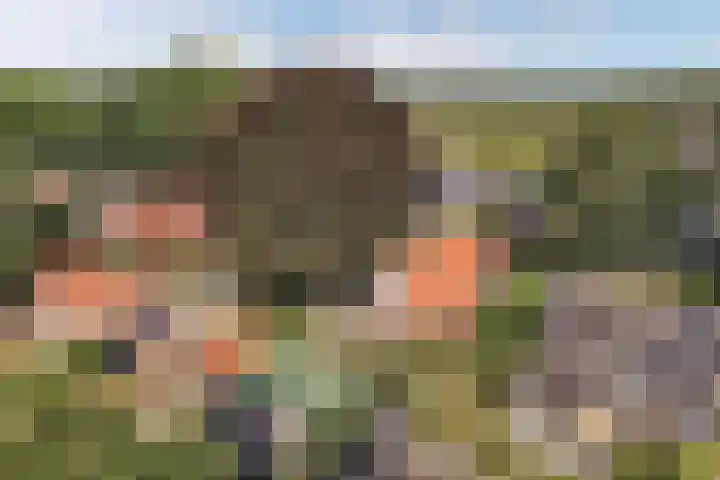 Zuiderweg 33 Noordwolde thumbnail 46