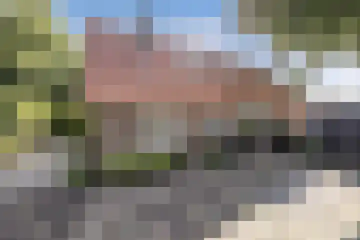 Zuiderweg 33 Noordwolde thumbnail 49