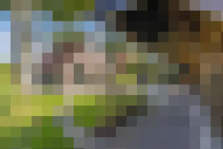 Zuiderweg 33 Noordwolde thumbnail 5