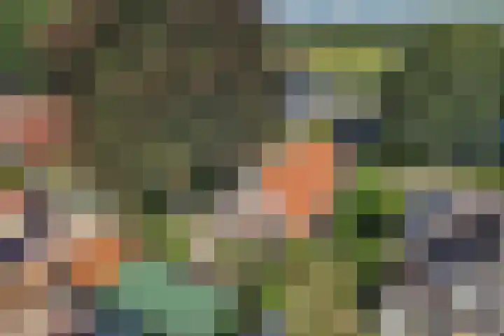 Zuiderweg 33 Noordwolde thumbnail 6