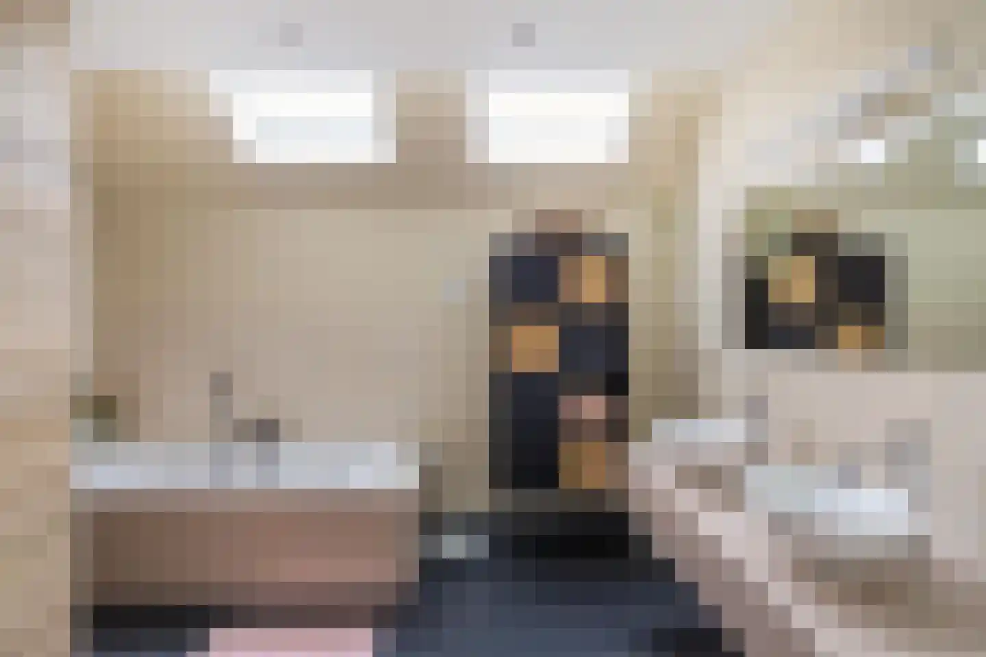 Zuiderweg 4 Opende thumbnail 15