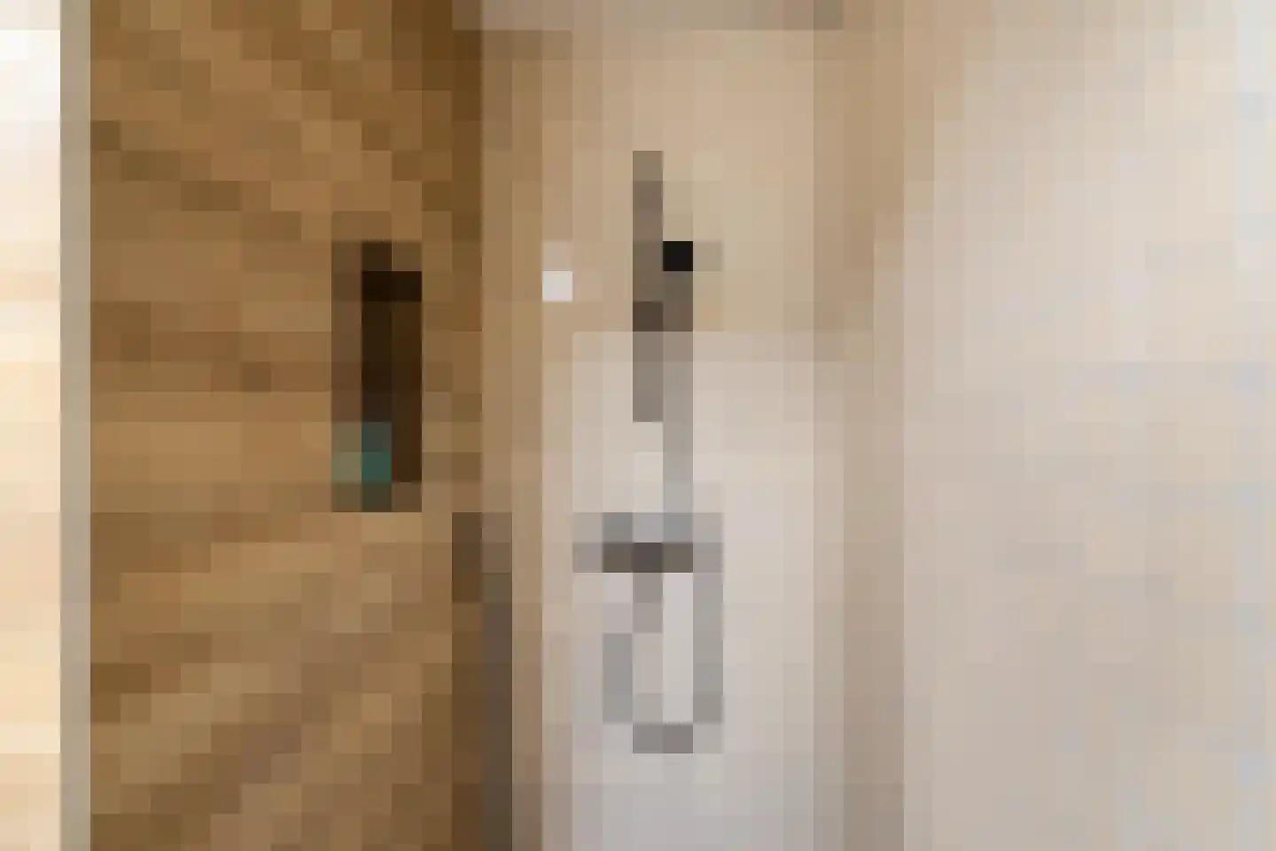Zuiderweg 4 Opende thumbnail 17