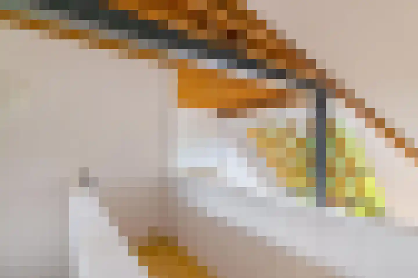 Zuiderweg 4 Opende thumbnail 19