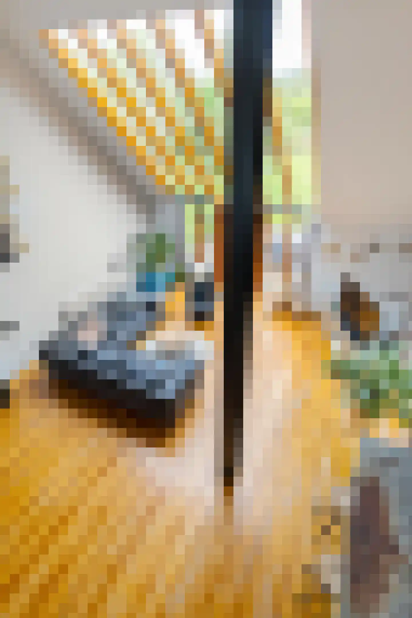 Zuiderweg 4 Opende thumbnail 20