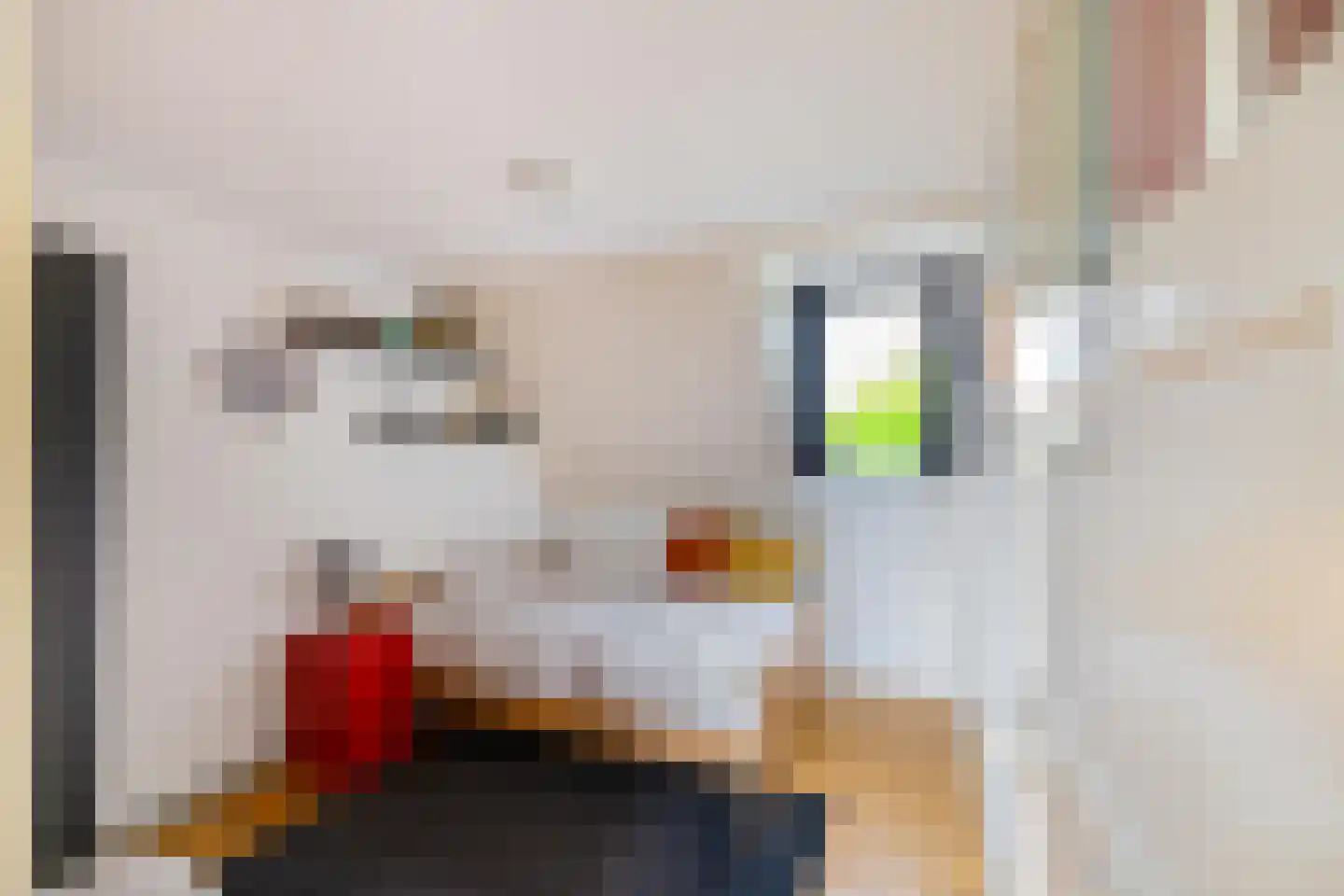 Zuiderweg 4 Opende thumbnail 23