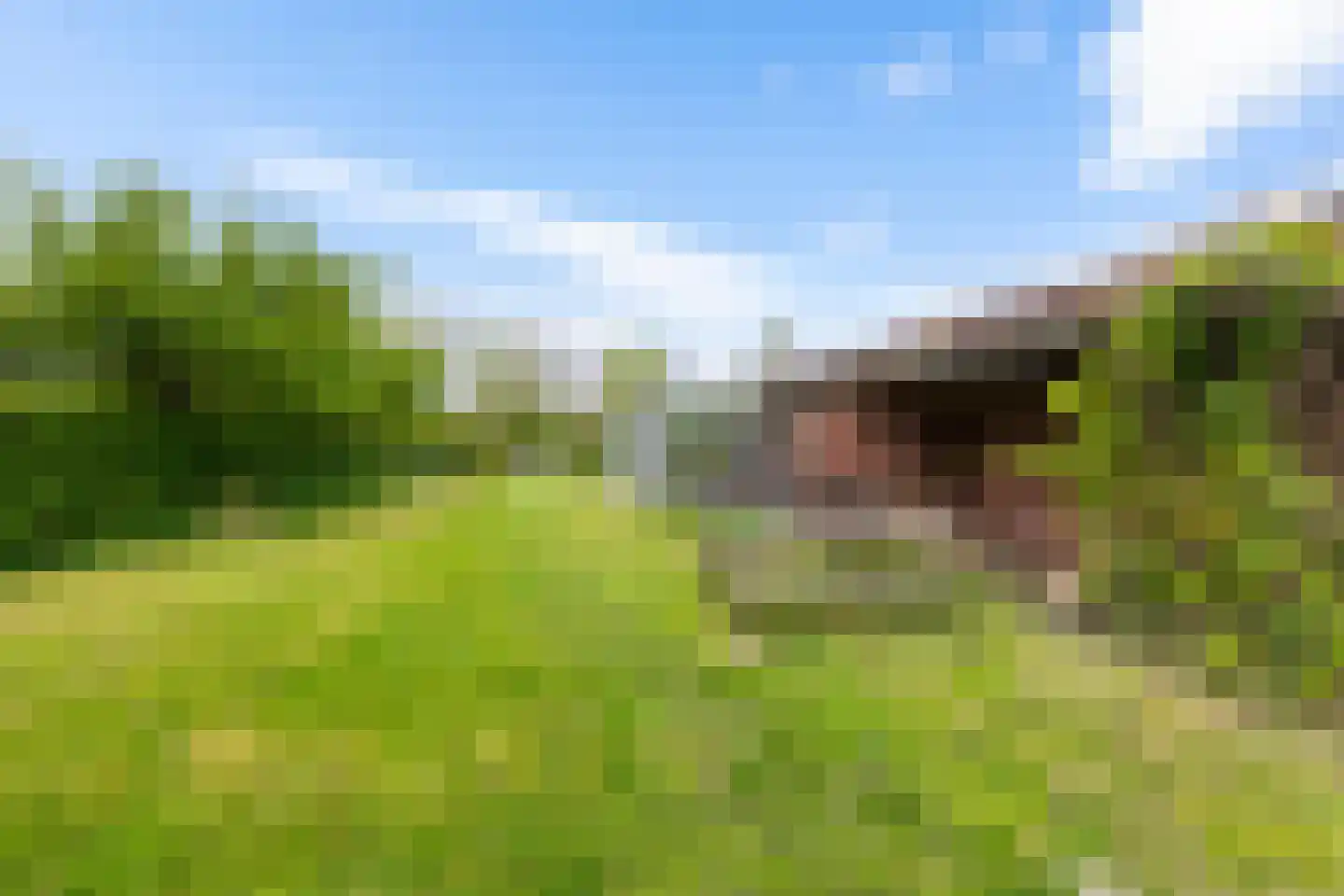 Zuiderweg 4 Opende thumbnail 34