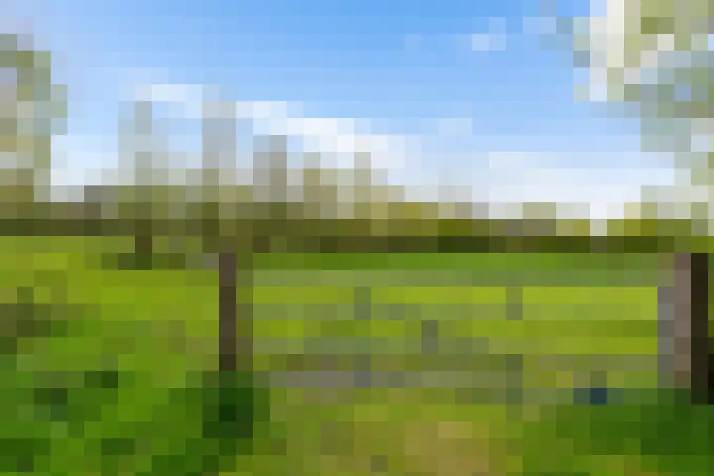 Zuiderweg 4 Opende thumbnail 35