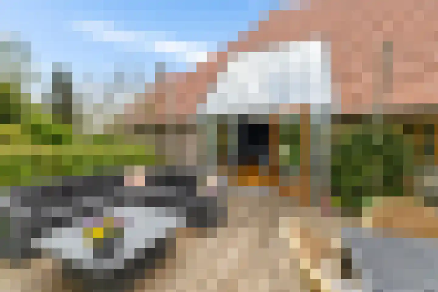 Zuiderweg 4 Opende thumbnail 41