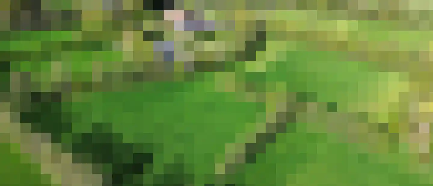 Zuiderweg 4 Opende thumbnail 45