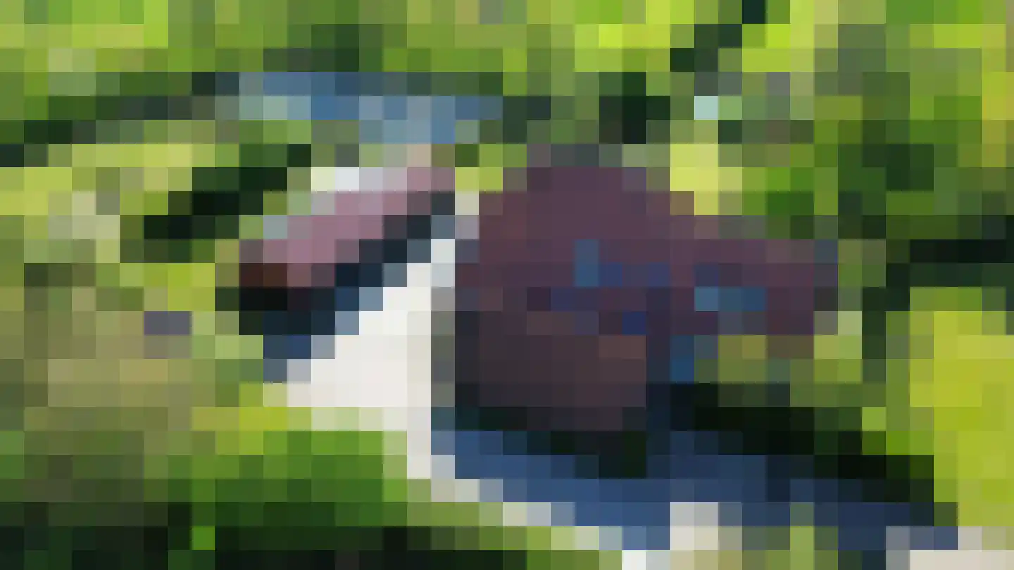 Zuiderweg 4 Opende thumbnail 46