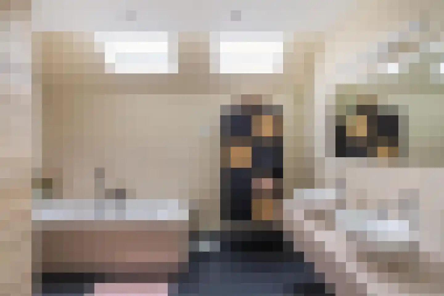 Zuiderweg 4 Opende thumbnail 5