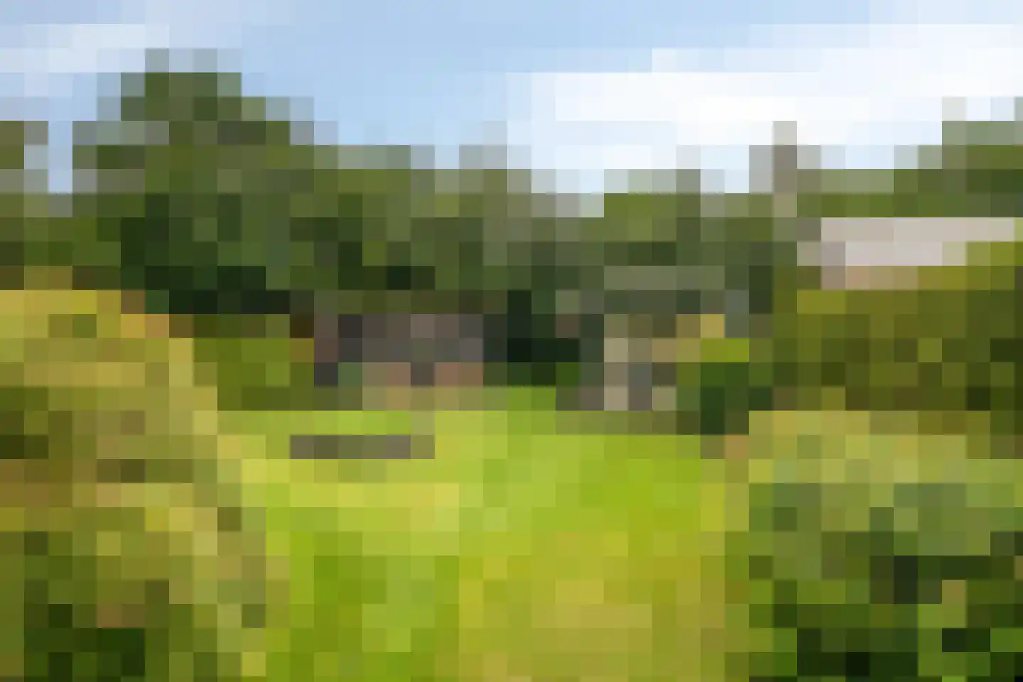 Zuiderweg 40 D Noordwolde thumbnail 34