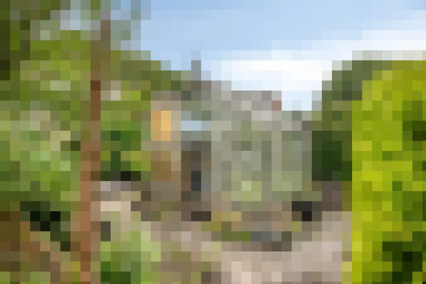 Zuiderweg 40 D Noordwolde thumbnail 37