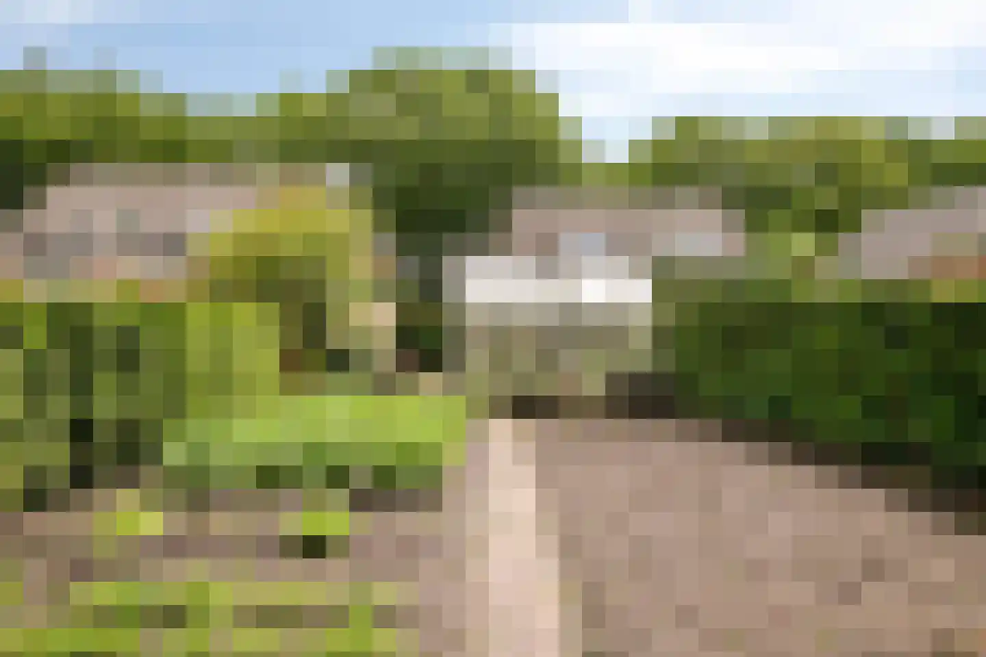 Zuiderweg 40 D Noordwolde thumbnail 38
