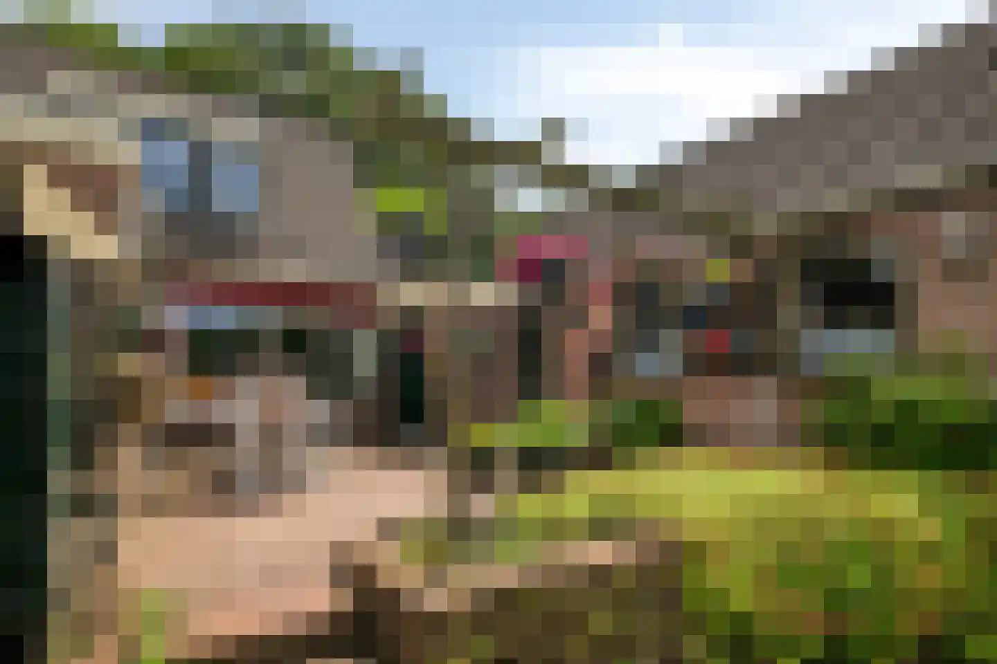 Zuiderweg 40 D Noordwolde thumbnail 39