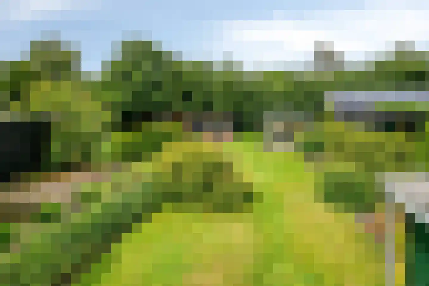 Zuiderweg 40 D Noordwolde thumbnail 40