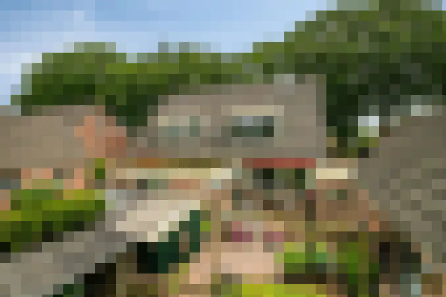 Zuiderweg 40 D Noordwolde thumbnail 42