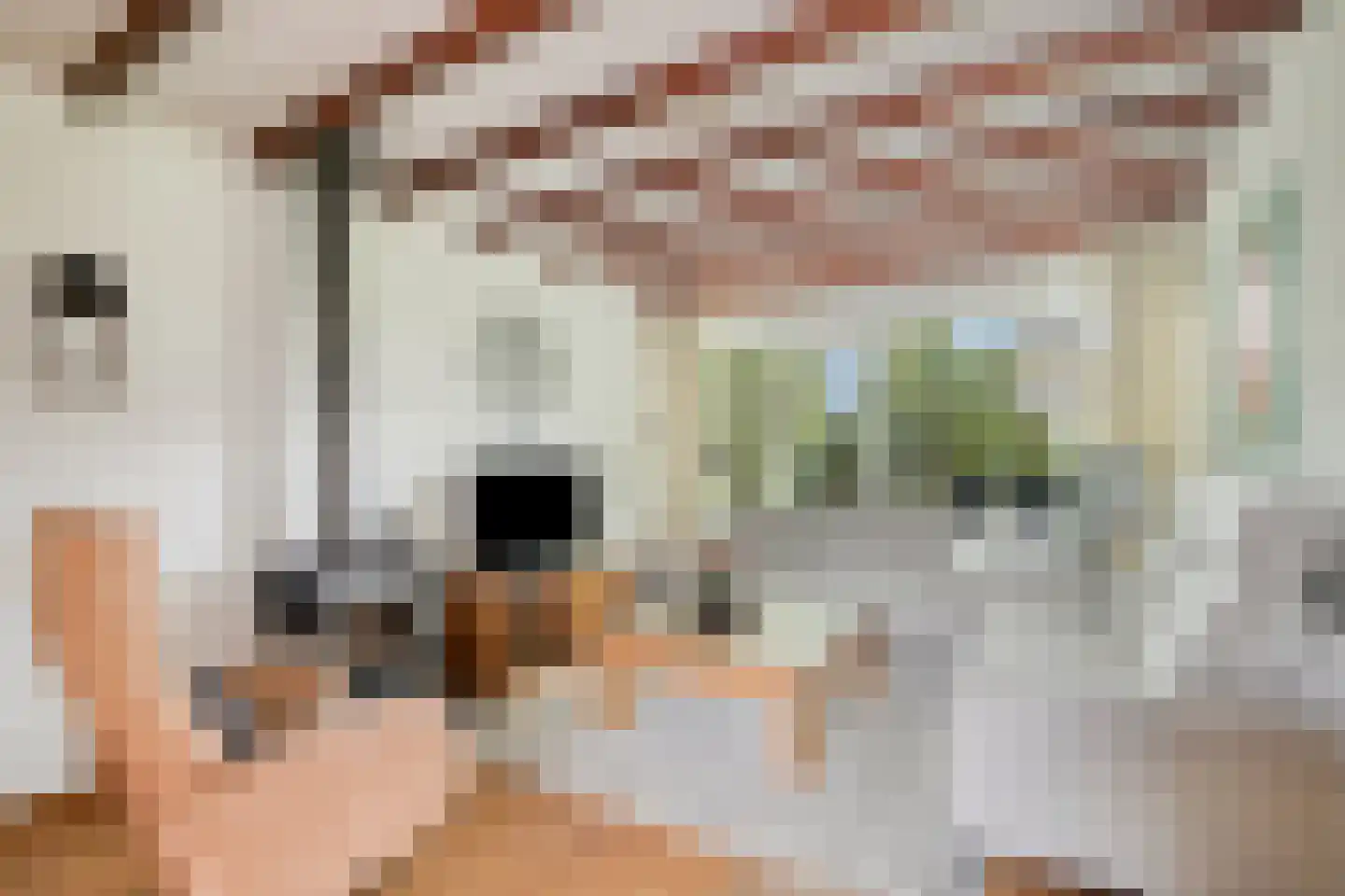 Zuiderweg 40 D Noordwolde thumbnail 8