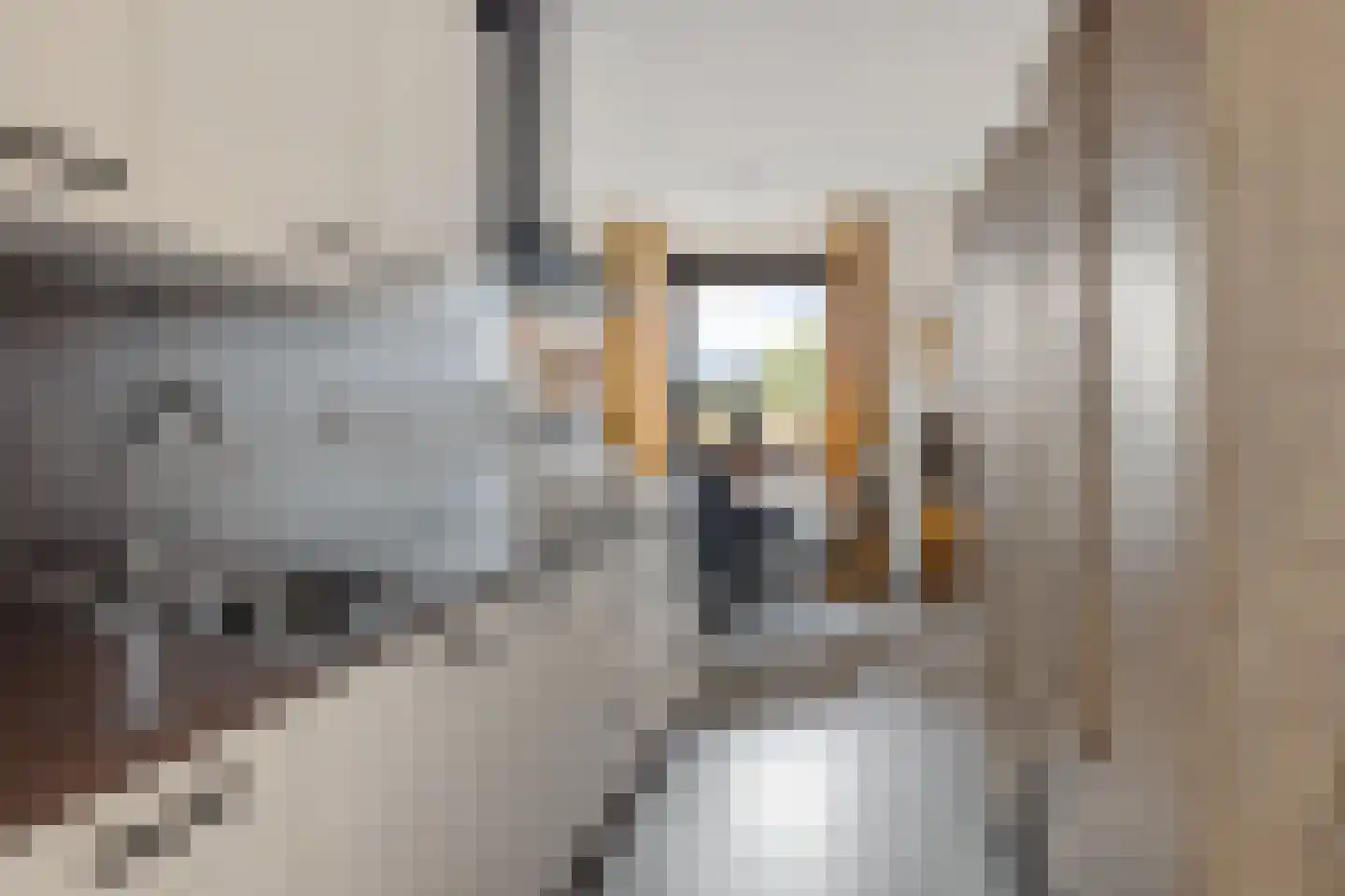Zuiderweg 46 8 Groningen thumbnail 18