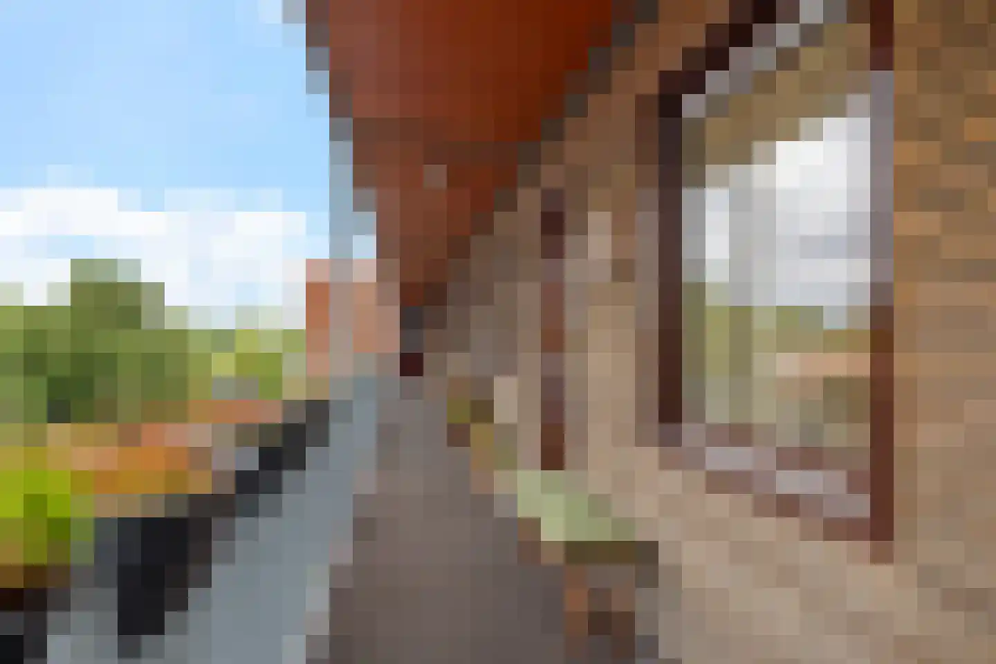 Zuiderweg 46 8 Groningen thumbnail 9