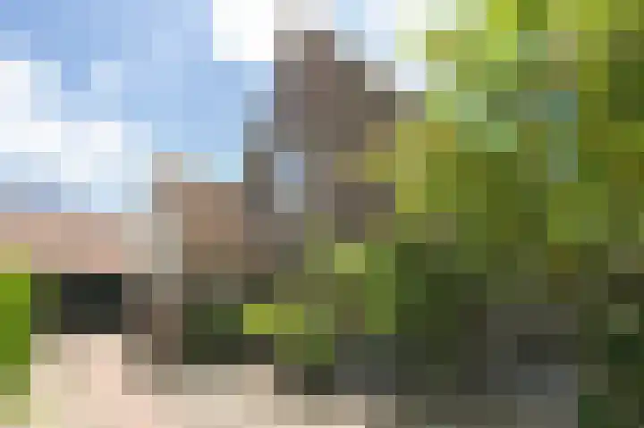 Zuiderweg 5 Huizen thumbnail 29