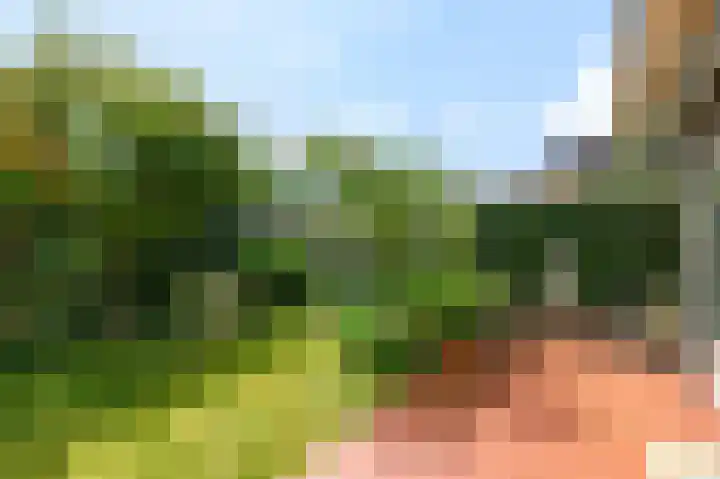 Zuiderweg 5 Huizen thumbnail 31