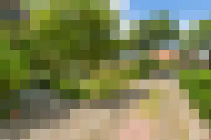 Zuiderweg 5 Huizen thumbnail 5