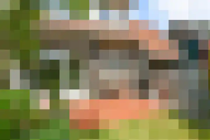 Zuiderweg 5 Huizen thumbnail 6