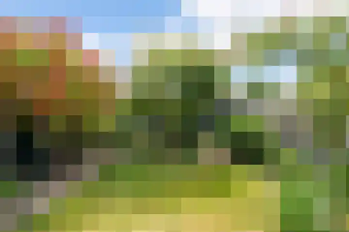 Zuiderweg 5 Huizen thumbnail 7